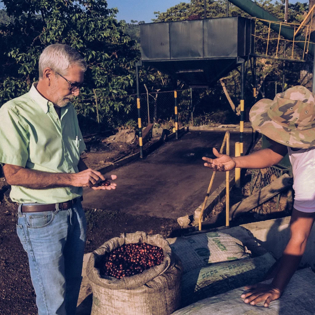 EL SALVADOR | Specialty Coffee